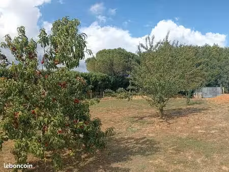 terrain constructible