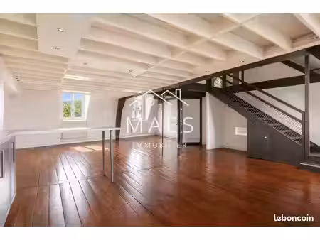 loft/atelier/surface 4 pièces 97 m²