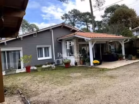 vente maison piscine à lège-cap-ferret (33950) : à vendre piscine / 94m² lège-cap-ferret