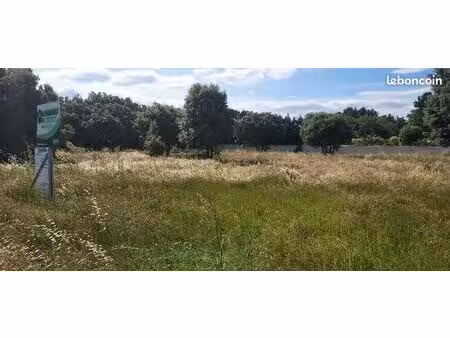 terrain 617 m² avignon