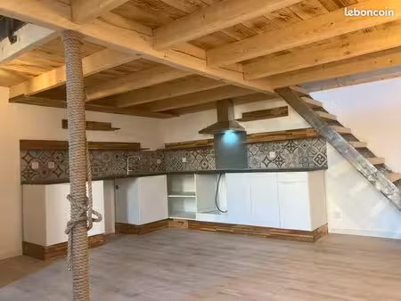 appartement t2 duplex mezzanine 45m2 chutes lavies
