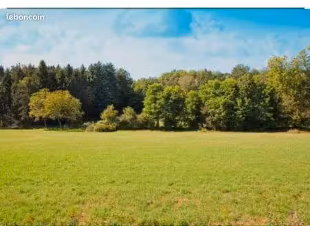 particulier recherche maison