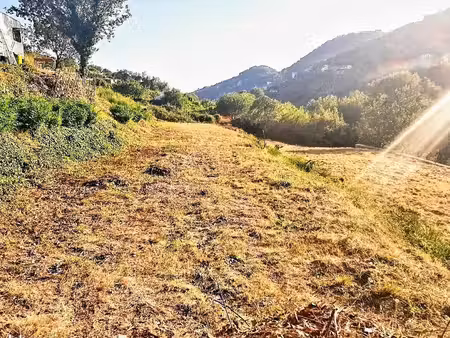 1 6ha viabilisé  contructible avec permis accordé  avec rivière