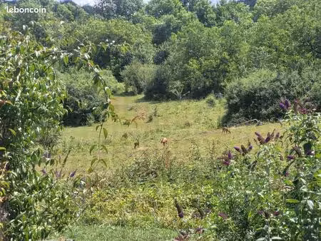 maison dans un environnement naturel exceptionnel  avec grande dépendance  proche de toute