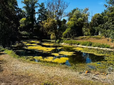 etang / terrain de loisir