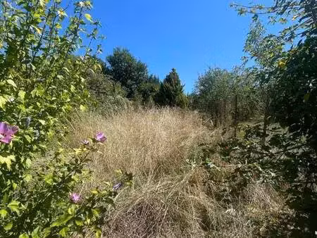 terrain à louer