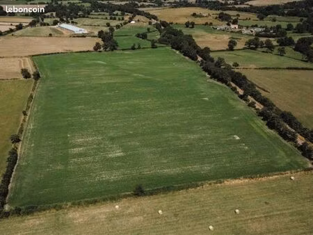 hectares