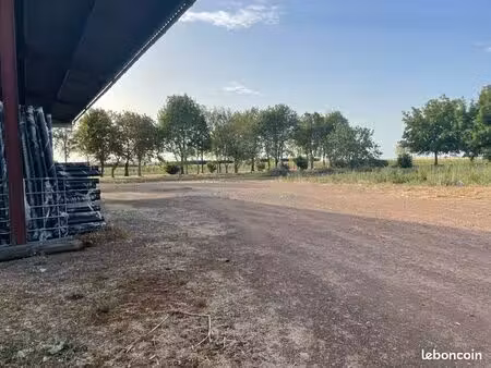 hangars