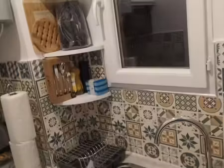 appartement 1 pièce 15 m²