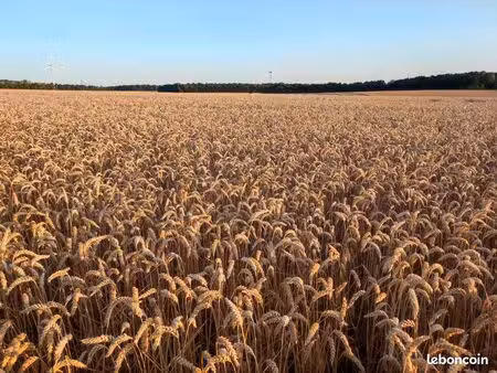 recherches terre a acheter ou louer près de bitche