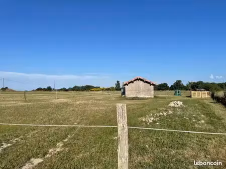 terrain idéal chevaux