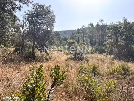 terrain 1500 m² porto vecchio