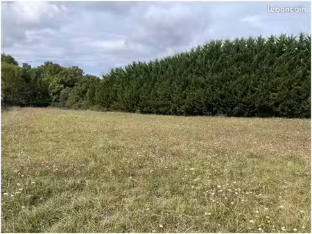 terrain à bâtir de 2175 m2 au prix de 40000 à maine-de-boixe (16)