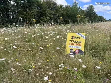 terrain à bâtir de 1250 m2 au prix de 16000 à villefagnan (16)