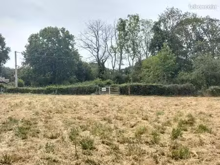 terrain constructible