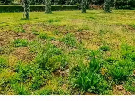 terrain constructible