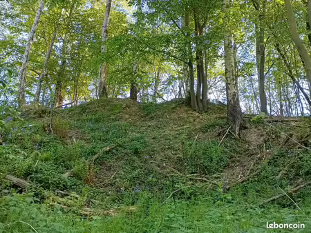 a vendre parcelle forestière aizier