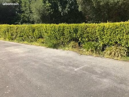 places de parking cap coz fouesnant