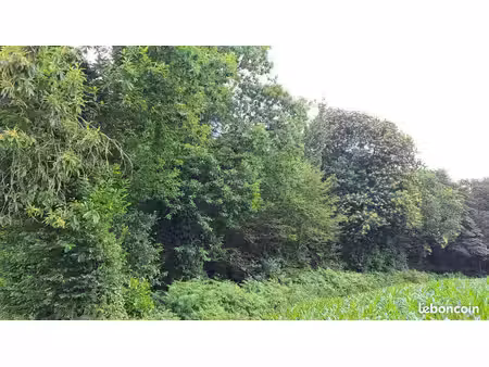 terrain 18430 m² plougonven