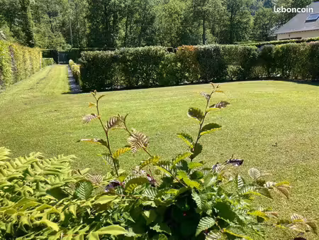 terrain viabilisé