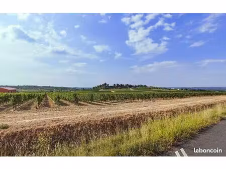 terrain 322 m² pailhes