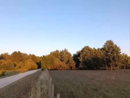 terrain agricole