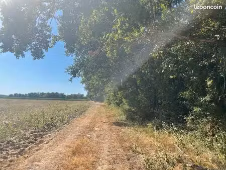 terrain de loisirs boisé 1 600 m² – bellebat (33760