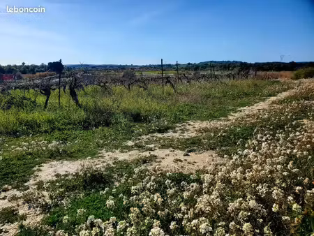 terrain 201 m² loupian