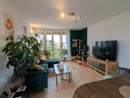 appartement 2 pieces