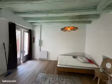 appartement t1 hyper centre tours
