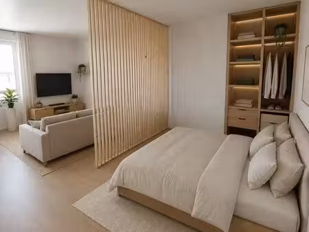 studio refait à neuf 33 m2