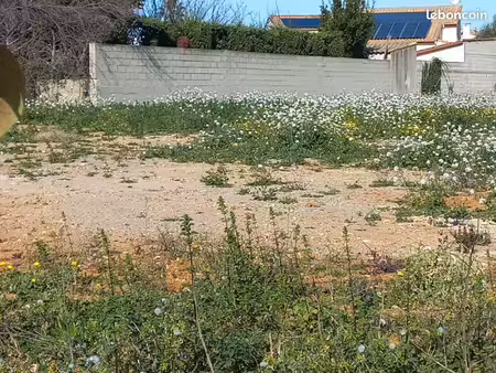 terrain 315 m² mauguio