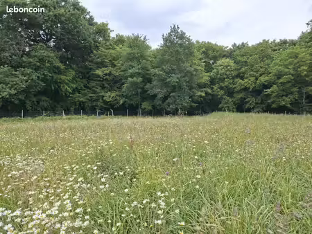 terrain 1 000 m² bouliac