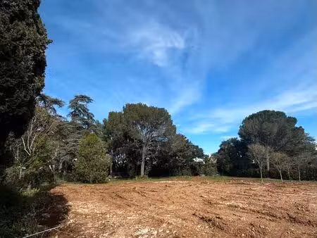 terrain à bâtir - castelnau-le-lez