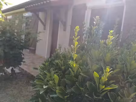 maison à louer t4 revel avec garage et clim réversible et jardin 600m2