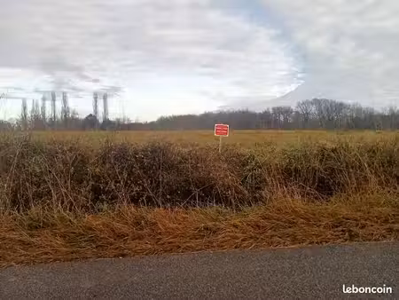 forêt a vendre au sud de dax hêtre et fresnes