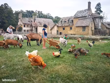 famille recherche ferme