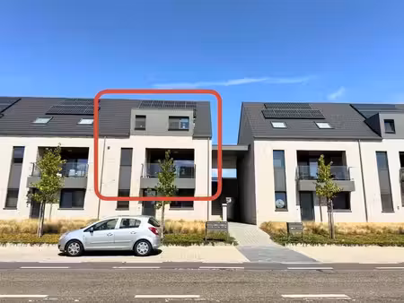 appartement à louer à maaseik € 1.250 (lqv6h) | zimmo