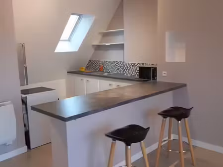 grand t1bis meublé de 33 m²  lumineux et calme  quartier nouvelle ville
