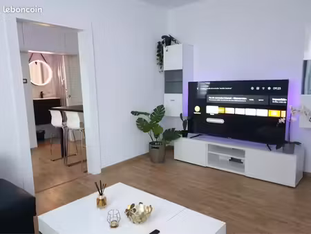 appartement 3 pièces  meublé  tout confort