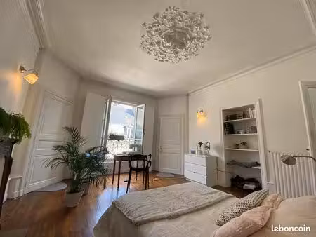bel et grand appartement hypercentre t2