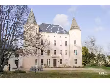 salles-sur-l'hers- toulouse/carcassonne-château du xixè + trois gîtes entièrement rénovés.
