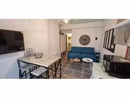 location appartement 1 pièces 19m2 pau 64000 - - surface privée