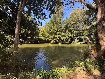vente terrain 485 m² à bossay-sur-claise (37290)  6 200 €