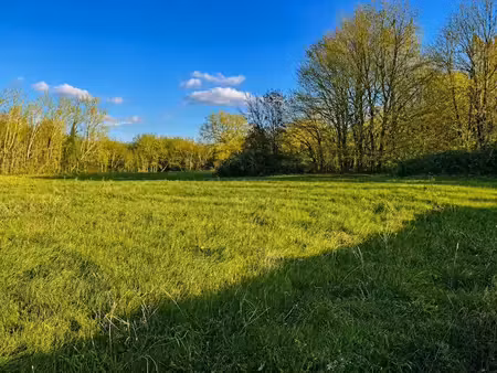 vente terrain 1800 m² à douchapt (24350)  21 000 €