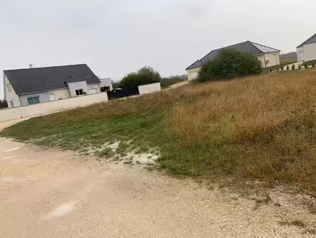 vente terrain 1000 m² à rigny (70100)  45 000 €