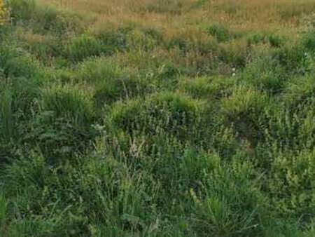 vente terrain à merlevenez (56700) : à vendre / merlevenez