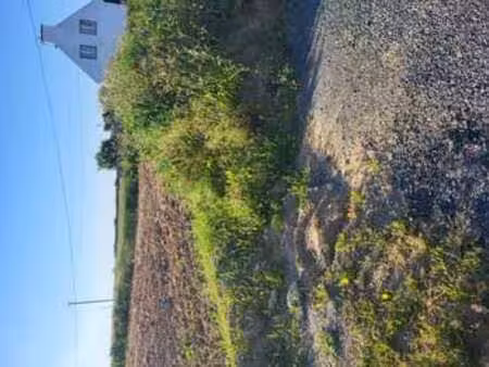vente terrain à plouénan (29420) : à vendre / plouénan