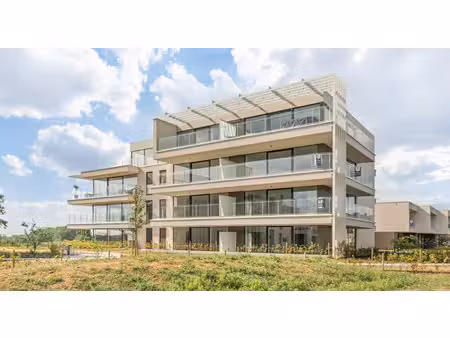 appartement te huur in bilzen met 2 slaapkamers