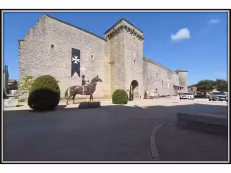 maison caussenarde remarquable à vendre 4 pièces la cavalerie (12)
